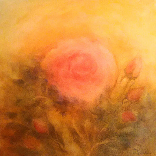 Rosa - Acquarello (VENDUTO)