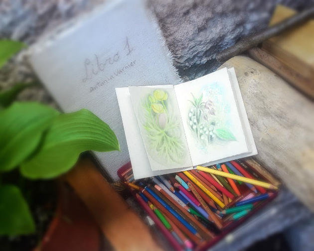 Libro fatto a mano e disegnato