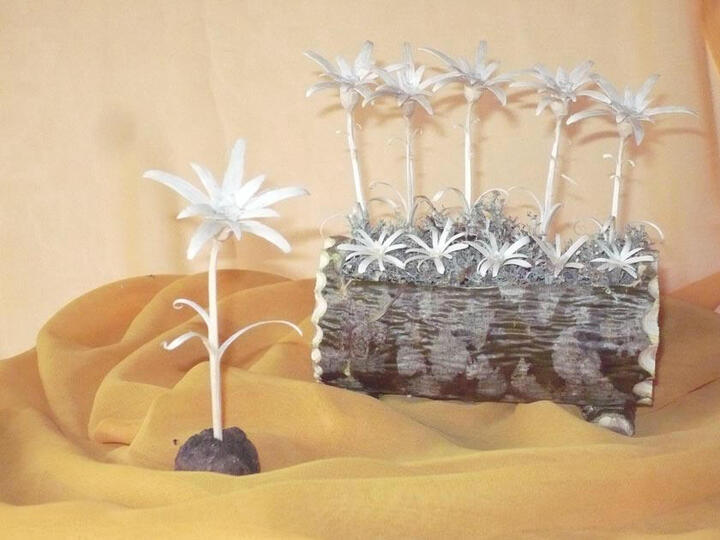 Stelle alpine ricavate da un unico bastoncino di legno, un piccolo capolavoro d'intaglio della tradizione alpina.