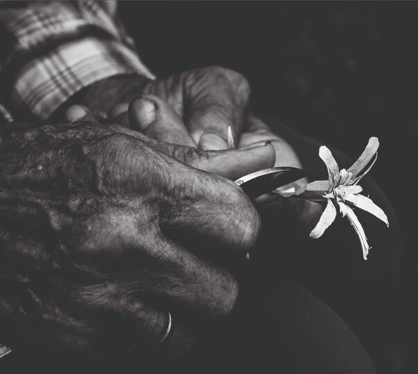 Carlo che intaglia una stella alpina