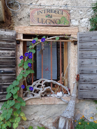 La finestra con l'insegna in fioritura