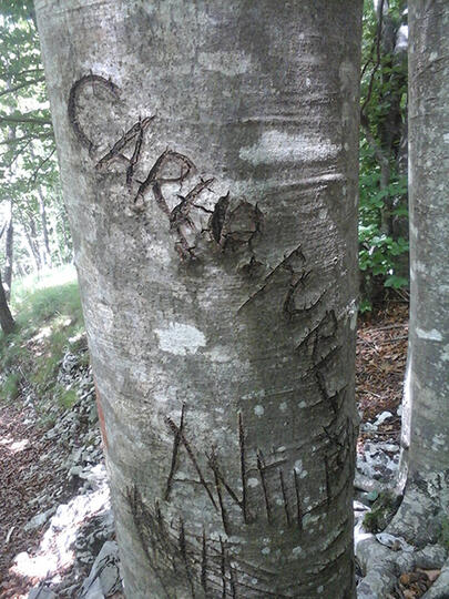 Carlo lascia il segno