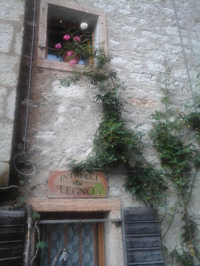 La finestra con l'insegna circondata dai rampicanti